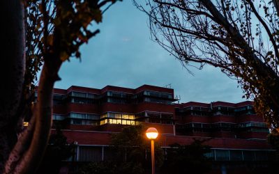 Cómo descifrar la factura de la luz
